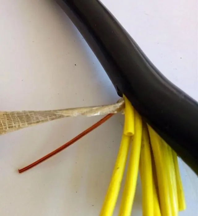 17083946786494.jpg jk.webp.jpg